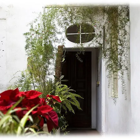 Florence Rental-2